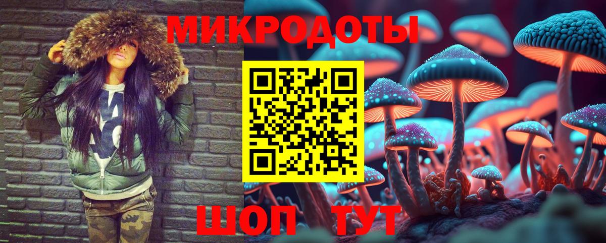 Псилоцибиновые грибы Cubensis Гатчина